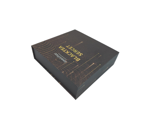 La timbratura calda ha impresso il rettangolo su ordinazione di Logo Luxury Custom Gift Box